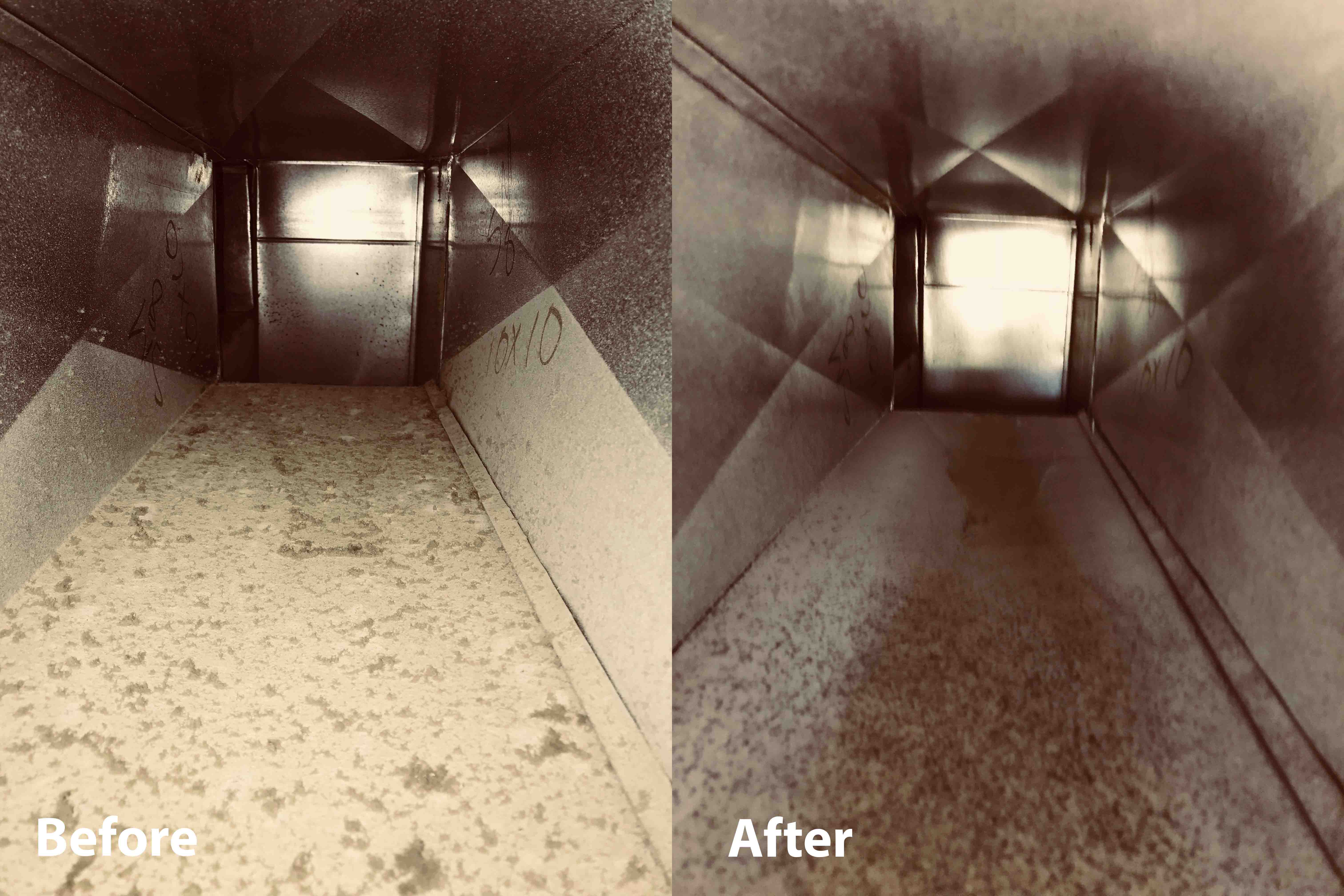 Zarts before after picture 0002