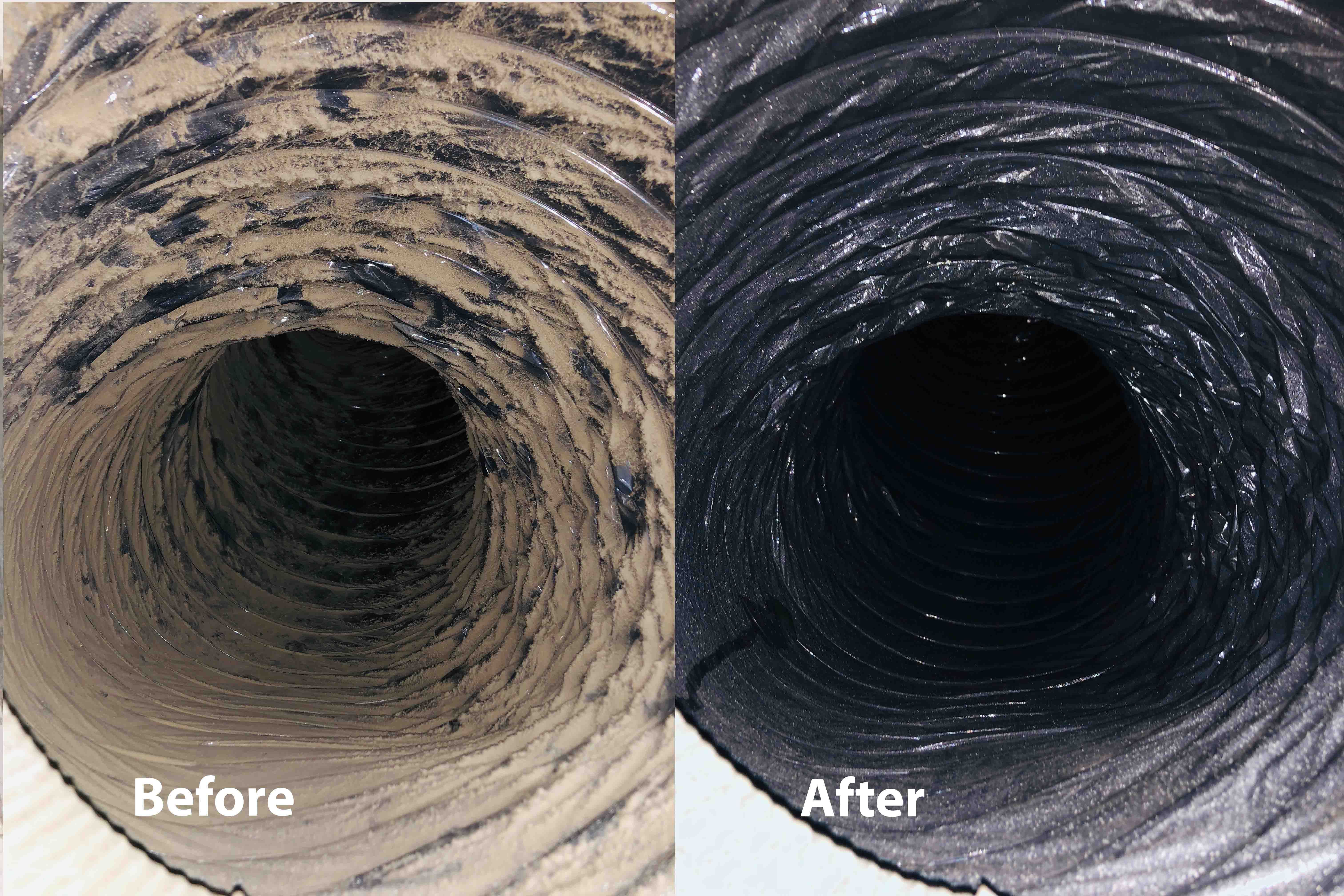 Zarts before after picture 0004