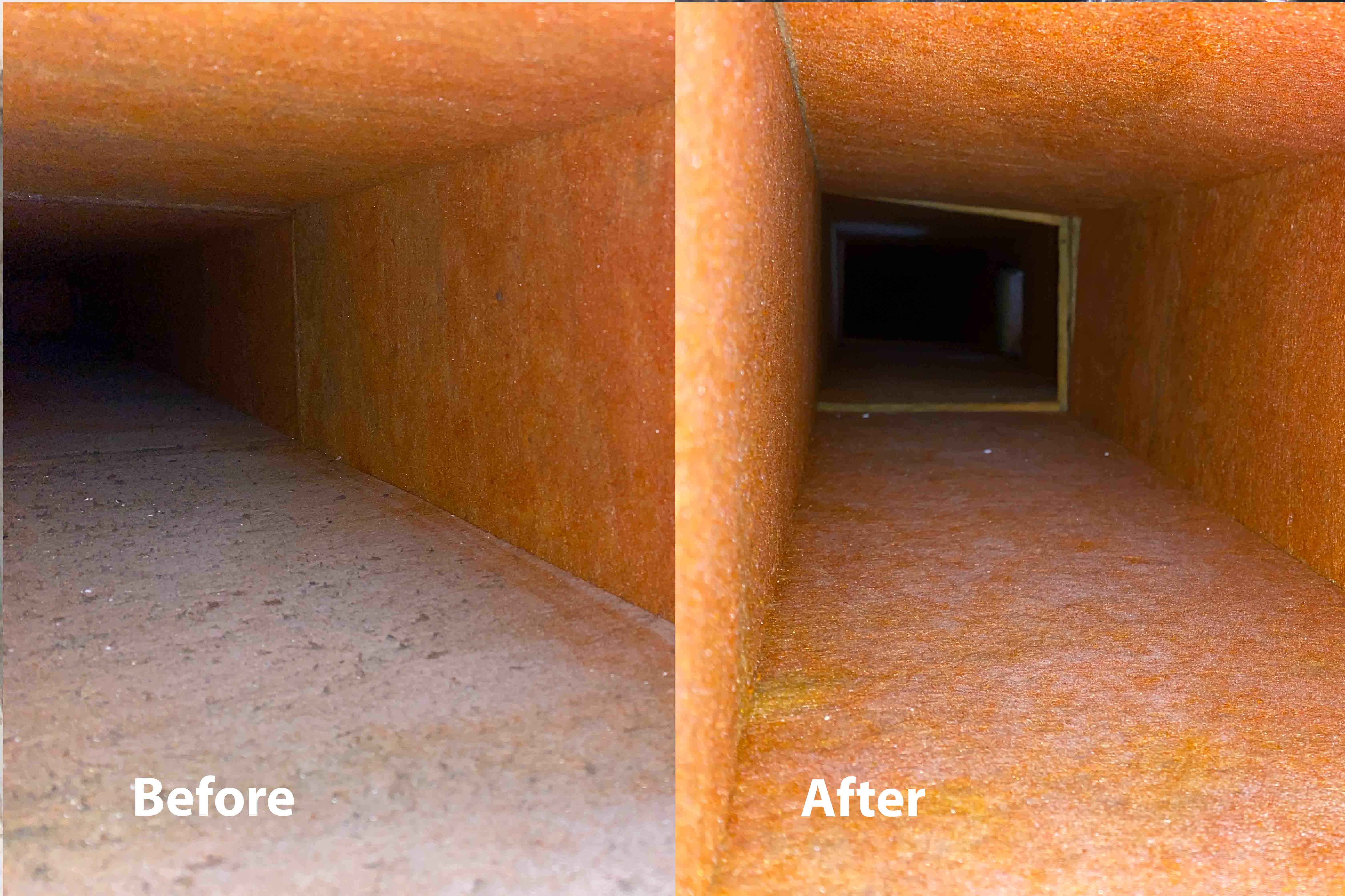 Zarts before after picture 0005